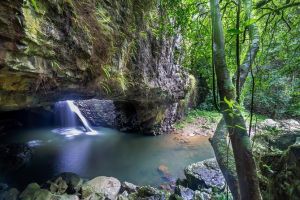 Springbrook andTamborine Rainforest Tour Incl Natural Bridge and Glow Worm Cave - Southport Accommodation